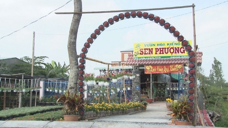 Sản xuất hoa kiểng kết hợp với bảo vệ môi trường