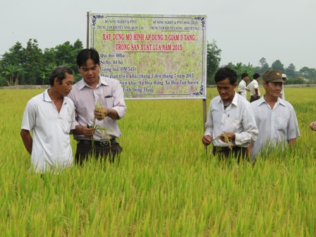 Nâng cao năng lực cạnh tranh cho nông dân sản xuất lúa - cần sự nỗ lực từ nhiều phía