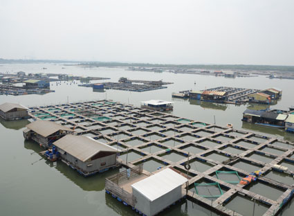 Điều tra, khảo sát khu nuôi trồng thủy sản trên sông Chà Và