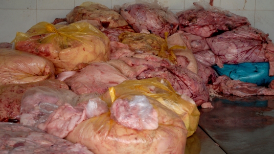 Táo tợn phá niêm phong, đánh cắp 18 tấn mỡ bẩn vừa bị tịch thu