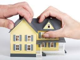 Đang chia thừa kế thì xuất hiện di chúc, tính sao