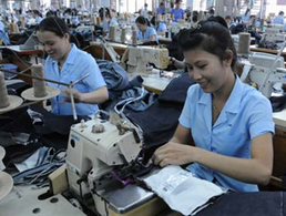 Chính sách mới có hiệu lực từ tháng 11 2015