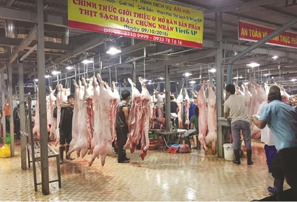Thịt heo VietGAP bao giờ phổ biến