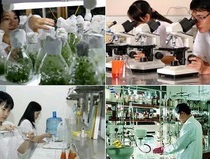 Quyền tự chủ của tổ chức khoa học và công nghệ công lập