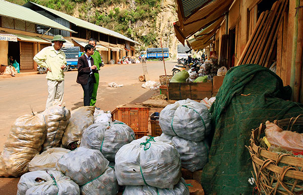 Đà Lạt giám sát việc đưa khoai tây Trung Quốc vào chợ nông sản