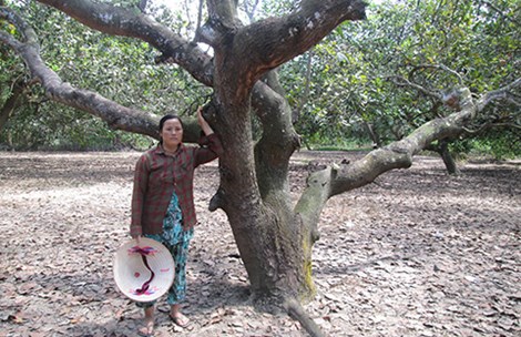 10 năm sống khổ trong khu quy hoạch