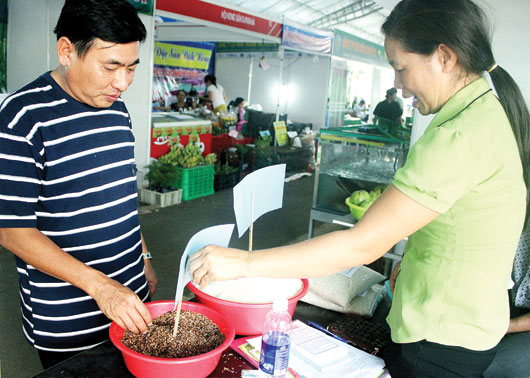 Gạo thảo dược được người tiêu dùng đánh giá cao