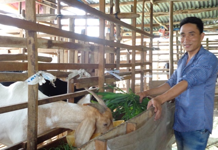 Anh Trần Duy Khương thoát nghèo từ nghề nuôi dê