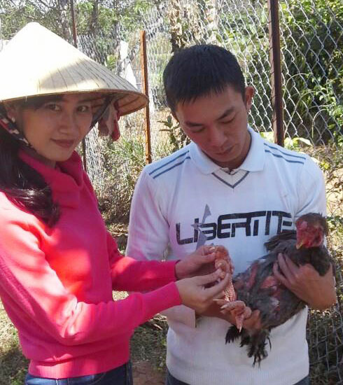 Gà Đông Tảo trên đất Đơn Dương