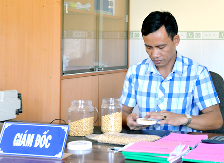 Sóng gió ngành đậu nành