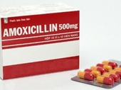 Cảnh báo và thu hồi thuốc Amoxycillin giả trên toàn quốc