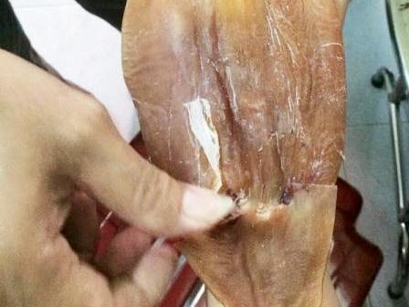 Tạm giữ khô mực nghi bị làm giả bằng cao su