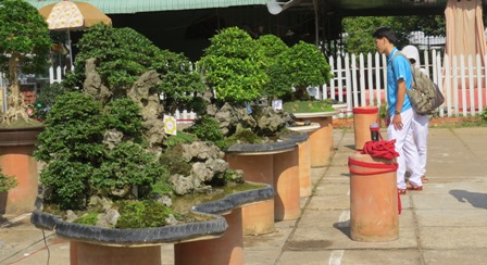 Sản xuất hoa kiểng cần gắn kết với thị trường