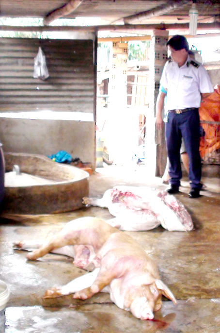 Kiểm soát chặt thị trường giết mổ gia súc, gia cầm