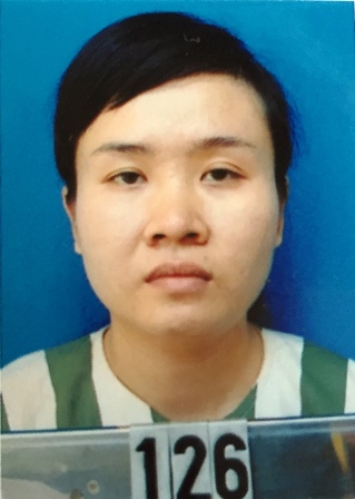 Khởi tố đối tượng môi giới mại dâm