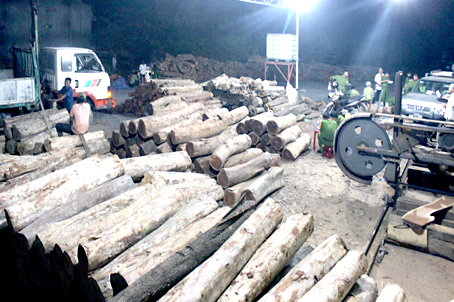 Đột nhập xưởng gỗ lậu trong đêm