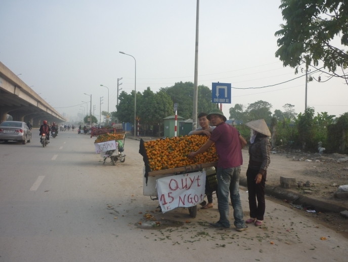 Hoang mang quýt Tàu nghi nhuộm chất gây ung thư