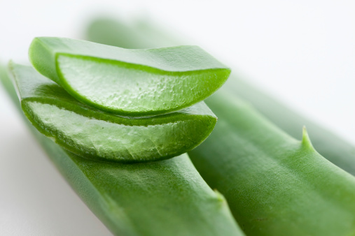 Nha đam, dùng sao cho đúng