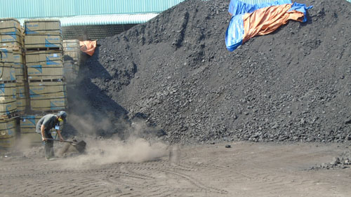 Bệnh tật, cây trái thất thu vì ô nhiễm môi trường