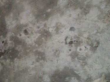 Hà Nội Nữ chủ quán cà phê bị đâm nhiều nhát trong đêm