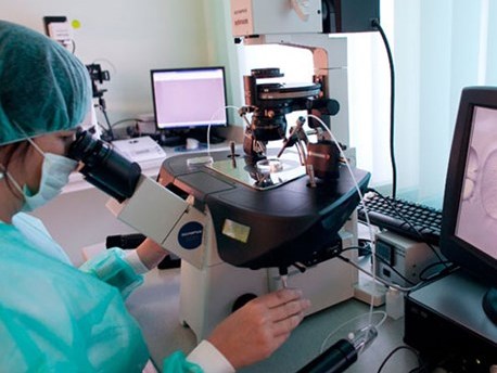 Những em bé đầu tiên sắp chào đời