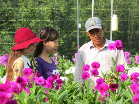 Nhộn nhịp thị trường hoa lan