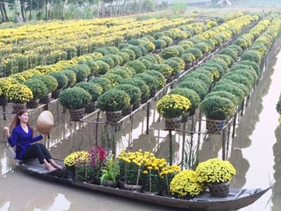 Rộn ràng thị trường hoa Tết