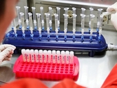 Australia tìm ra thuốc ức chế tế bào ung thư máu