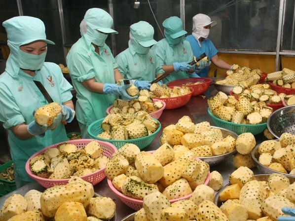 Ngành Nông nghiệp đặt mục tiêu xuất khẩu 40 tỷ USD vào năm 2020