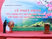 Chủ tịch nước Trương Tấn Sang phát động Tết trồng cây