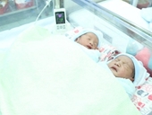 Cần Thơ 5 em bé chào đời nhờ thụ tinh ống nghiệm trong dịp Tết