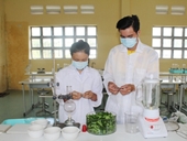 Học sinh trường làng nghiên cứu sáng tạo thuốc trừ sâu sinh học