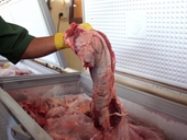 Phạt 50 triệu đồng vụ hô biến 300kg thịt trâu thối thành thịt bò