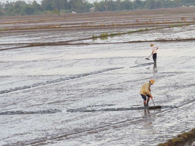Giá phân bón giảm