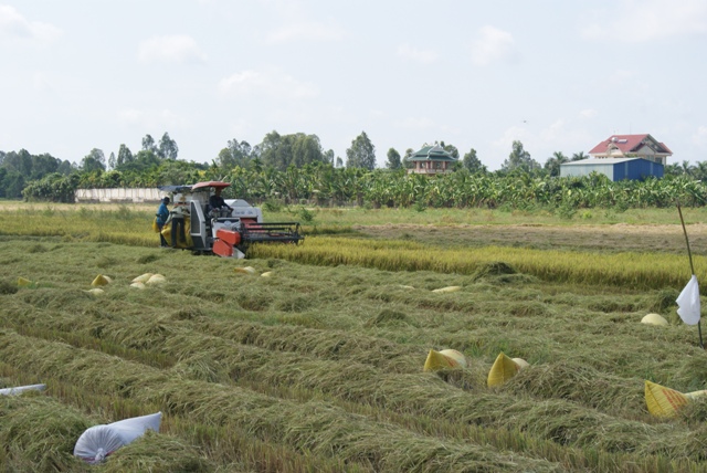 Để nông thôn là môi trường đáng sống