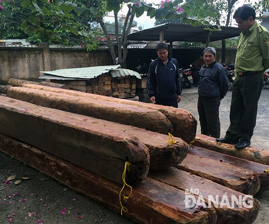 Ai chịu trách nhiệm khi để xảy ra phá rừng