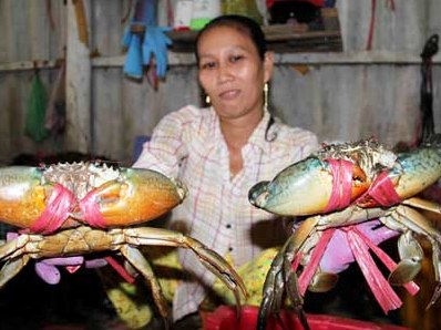 Cua biển Cà Mau tăng giá mạnh