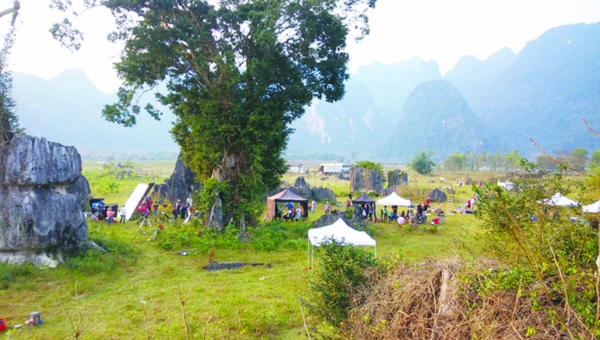 Tham vọng thành làng phim Hollywood  Kỳ vọng  thực tế