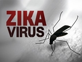 Bộ Y tế khẳng định Đến 30-3, Việt Nam chưa có ca nào nhiễm virus Zika