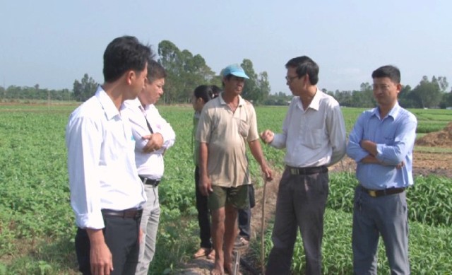 Ứng dụng kỹ thuật vào sản xuất rau an toàn