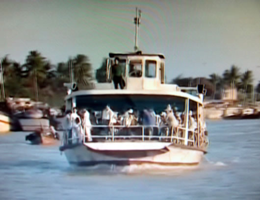 Phà xưa đã mất, bóng đa vẫn còn