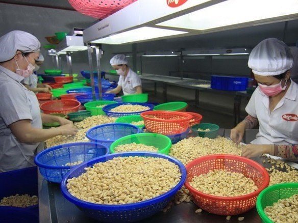 Việt Nam đang đi đúng hướng trong tiến trình hội nhập WTO