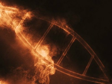 Phát hiện ADN siêu nhân bảo vệ con người khỏi bệnh tật