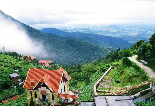  Tam Đảo sở hữu khí hậu mát mẻ, không gian lãng mạn.