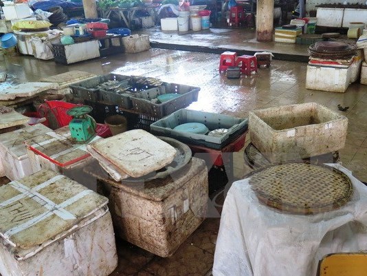 Lo sợ nhiễm độc, người dân quay lưng với các loại hải sản