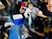 Lập hội đồng khoa học quốc gia để tìm nguyên nhân cá chết