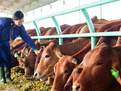 3 tháng, nợ công ty bầu Đức tăng thêm 1 500 tỷ đồng