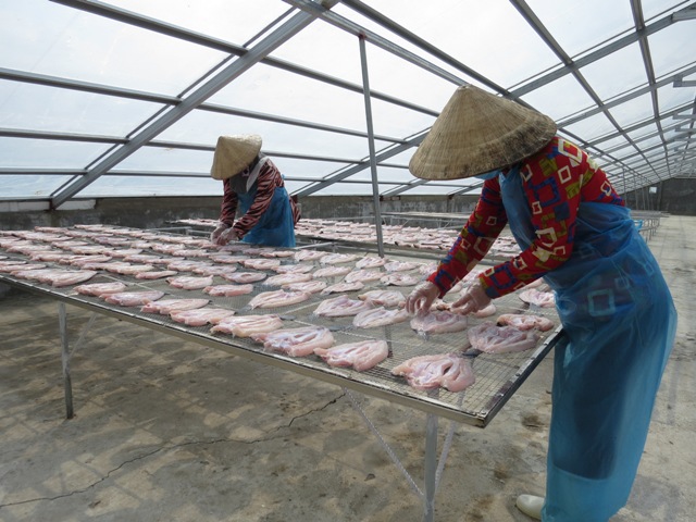 Hướng đến sản phẩm khô cá lóc,cá sặc rằn an toàn