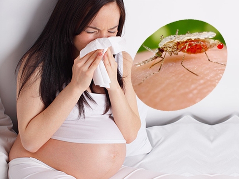 Bà bầu nhiễm virus Zika cần xử trí ra sao