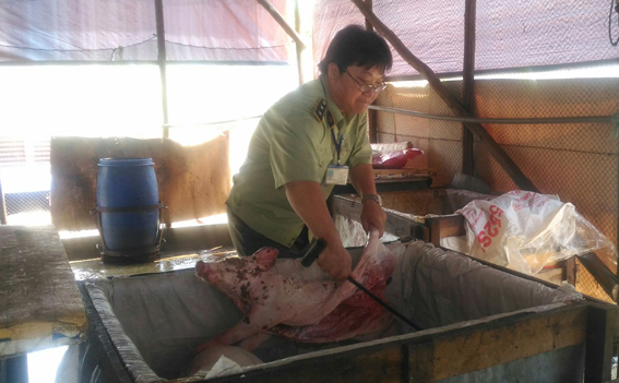 Giết mổ heo chết, bị xử phạt 14 triệu đồng